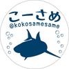 こーさめ コーディング致します