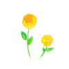 花恋　karen