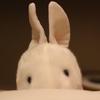 知的なバカ