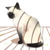 ねこつき0318