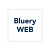 webdesigner_bluery
