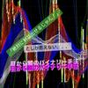 hachi0728
