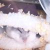 みーのお部屋