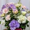 75歳 美江さんのお悩み相談室