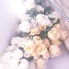 LovelyFlowers