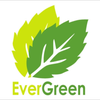 Ever Green