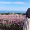 藤原花恋　チャネリング