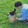 ホシノ 現役病院栄養士