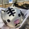 やかちゃん