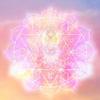 天寿ORACLE