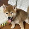 愚痴、人生の悩み、相談など受けつけます。