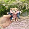 みかんおばちゃん