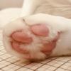 ミニマンボウ