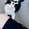 あたや