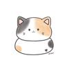 chichan1003