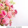 bloomblue777