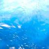 流海（るみ）