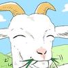 きくち栞