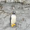 きごと文章塾
