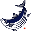 追ヰ鰹