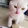 ぱちちゃん