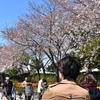 えくせるまにあ