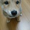 あぃらぶ