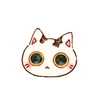 めぬきゃ
