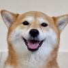 じゃがバター係長