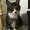 探偵屋いしはら