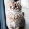 Official_Works