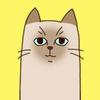 猫のジョナサン