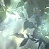 am0
