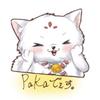 paka888