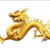 金 龍