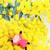 まりー❀marie元ナース