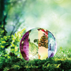 Tomoki_design