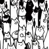 Momocat