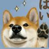 たあ犬