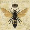 qBee