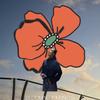 Blooming Journeys
