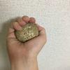 ポジティ部キャプテン