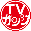 TVガンジ