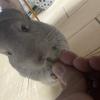 まなべぇ