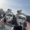 ななみんちかつ