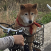KOUMECHAN33