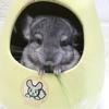 chinchilla_life