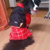 Lihiro
