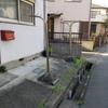 西洋学