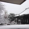上島隆
